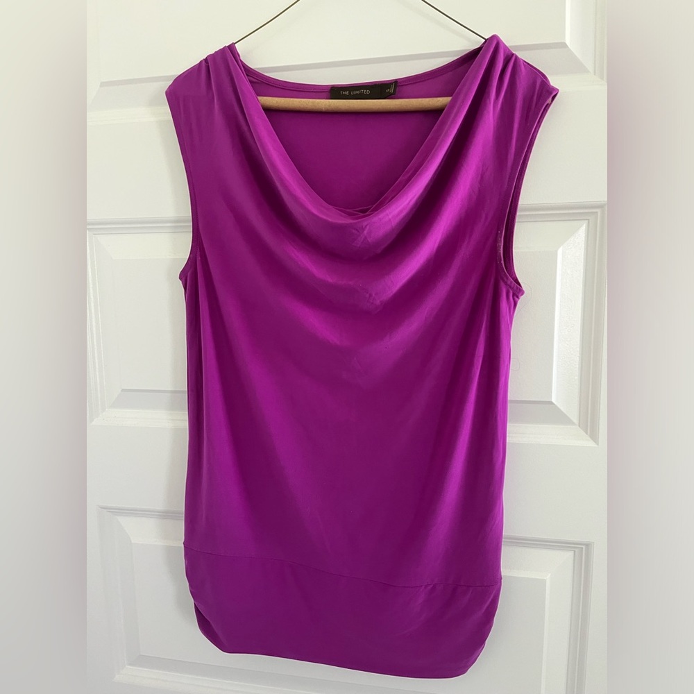 The Limited (2) Blouses